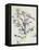 The Oak-Paul Cézanne-Framed Premier Image Canvas