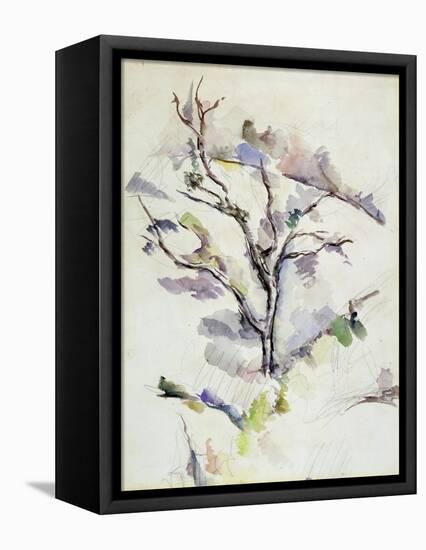 The Oak-Paul Cézanne-Framed Premier Image Canvas