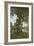 The Oaks of Chateau-Renard, 1875-Henri-Joseph Harpignies-Framed Giclee Print