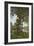 The Oaks of Chateau-Renard, 1875-Henri-Joseph Harpignies-Framed Giclee Print