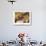 The Oarsmen's Breakfast-Pierre-Auguste Renoir-Art Print displayed on a wall