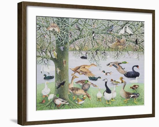 The Odd Duck-Pat Scott-Framed Giclee Print
