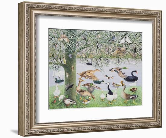 The Odd Duck-Pat Scott-Framed Giclee Print