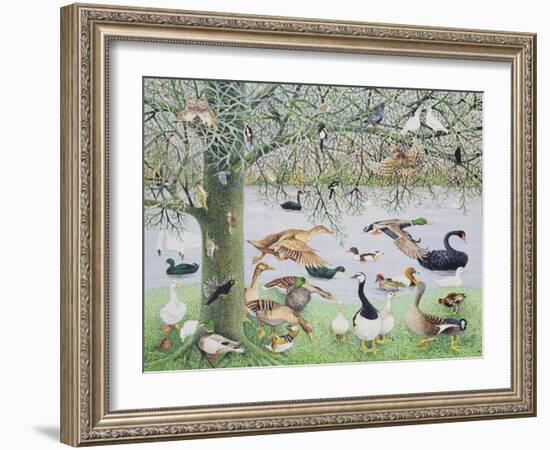 The Odd Duck-Pat Scott-Framed Giclee Print