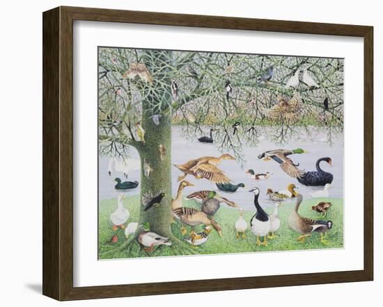 The Odd Duck-Pat Scott-Framed Giclee Print