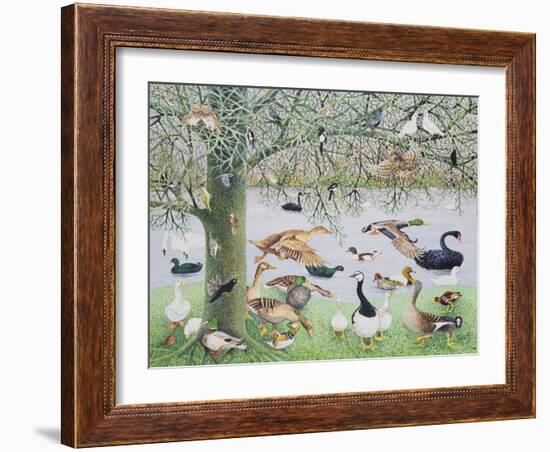 The Odd Duck-Pat Scott-Framed Giclee Print