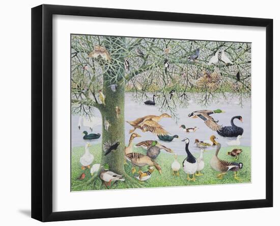 The Odd Duck-Pat Scott-Framed Giclee Print