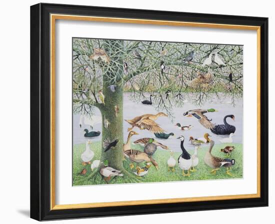 The Odd Duck-Pat Scott-Framed Giclee Print