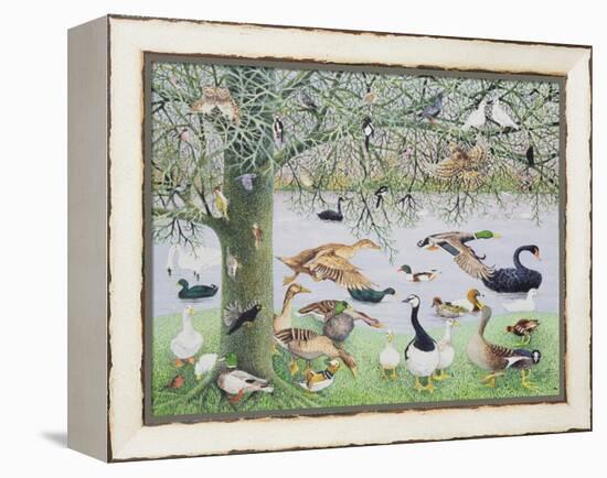 The Odd Duck-Pat Scott-Framed Premier Image Canvas