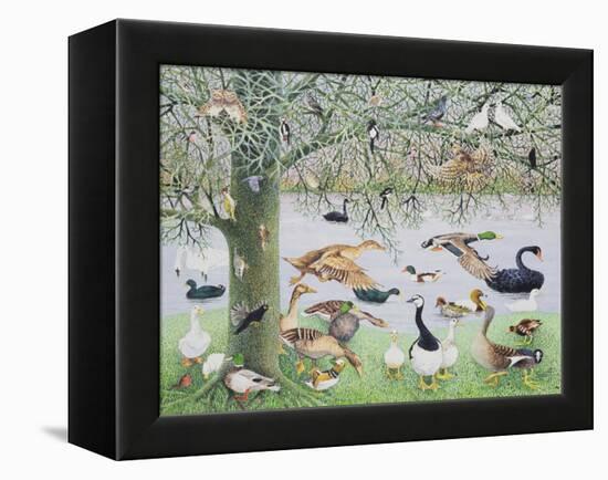 The Odd Duck-Pat Scott-Framed Premier Image Canvas