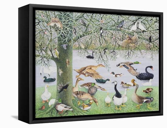 The Odd Duck-Pat Scott-Framed Premier Image Canvas