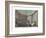 The Odeon of Athens-Stefano Bianchetti-Framed Giclee Print