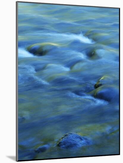 The Ohanapecosh River, Mt. Rainier National Park, Washington, USA-Charles Gurche-Mounted Photographic Print