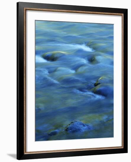 The Ohanapecosh River, Mt. Rainier National Park, Washington, USA-Charles Gurche-Framed Photographic Print