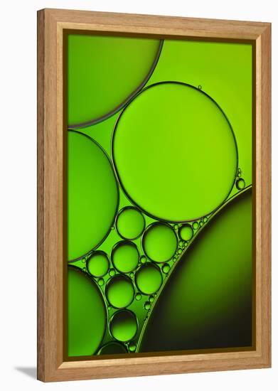 The Oily Greenhorns-Heidi Westum-Framed Premier Image Canvas