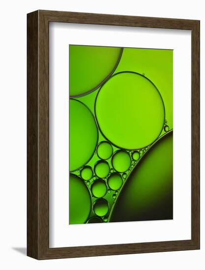 The Oily Greenhorns-Heidi Westum-Framed Photographic Print