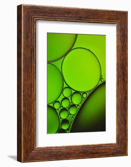 The Oily Greenhorns-Heidi Westum-Framed Photographic Print