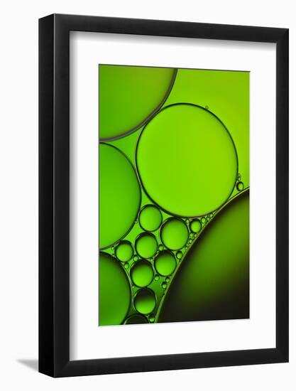 The Oily Greenhorns-Heidi Westum-Framed Photographic Print