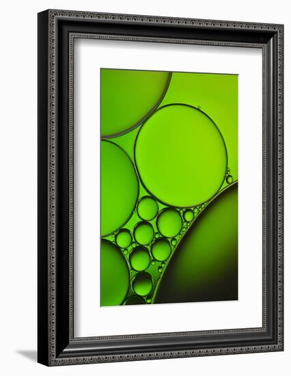 The Oily Greenhorns-Heidi Westum-Framed Photographic Print