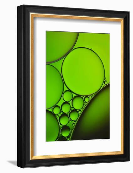 The Oily Greenhorns-Heidi Westum-Framed Photographic Print