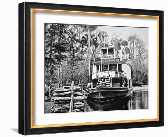 The 'Okahumkee' Steamer Taking on Wood Fuel in Florida, C.1895-American Photographer-Framed Giclee Print