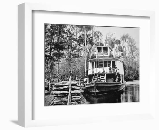 The 'Okahumkee' Steamer Taking on Wood Fuel in Florida, C.1895-American Photographer-Framed Giclee Print