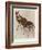 The Okapi (Ocapia Johnstoni), the New Animal Discovered in Central Africa-Harry Hamilton Johnston-Framed Giclee Print