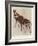 The Okapi (Ocapia Johnstoni), the New Animal Discovered in Central Africa-Harry Hamilton Johnston-Framed Giclee Print