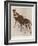 The Okapi (Ocapia Johnstoni), the New Animal Discovered in Central Africa-Harry Hamilton Johnston-Framed Giclee Print