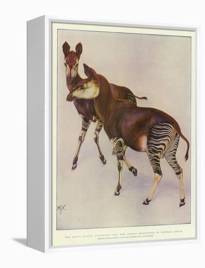 The Okapi (Ocapia Johnstoni), the New Animal Discovered in Central Africa-Harry Hamilton Johnston-Framed Premier Image Canvas