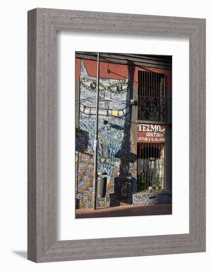 The old barrio of San Telmo, Buenos Aires, Argentina, South America-Julio Etchart-Framed Photographic Print