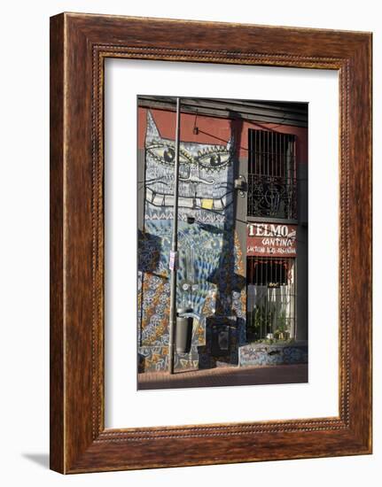 The old barrio of San Telmo, Buenos Aires, Argentina, South America-Julio Etchart-Framed Photographic Print