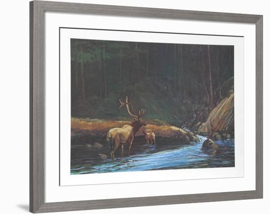 The Old Bull-Bill Elliot-Framed Collectable Print