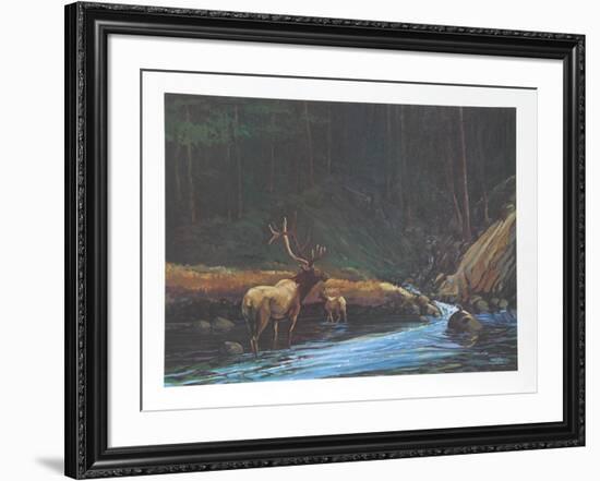 The Old Bull-Bill Elliot-Framed Collectable Print