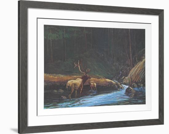 The Old Bull-Bill Elliot-Framed Collectable Print