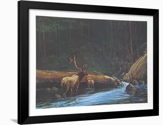 The Old Bull-Bill Elliot-Framed Collectable Print