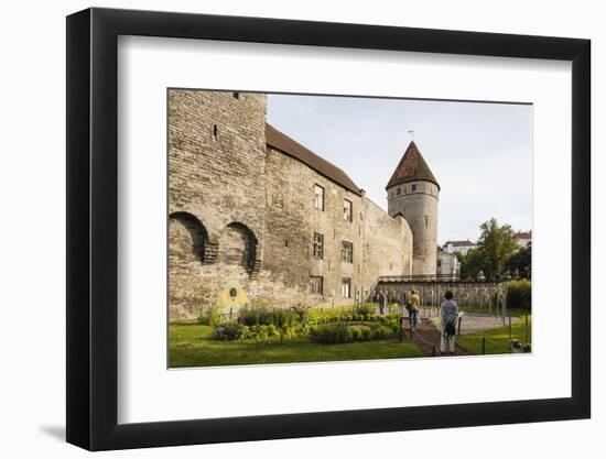 The Old City walls, Old Town, UNESCO World Heritage Site, Tallinn, Estonia, Europe-Ben Pipe-Framed Photographic Print