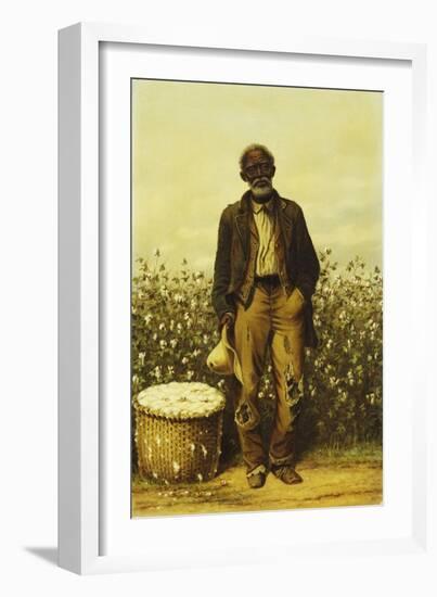 The Old Cotton Picker-William Aiken Walker-Framed Giclee Print