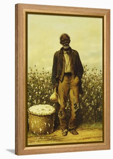 The Old Cotton Picker-William Aiken Walker-Framed Premier Image Canvas