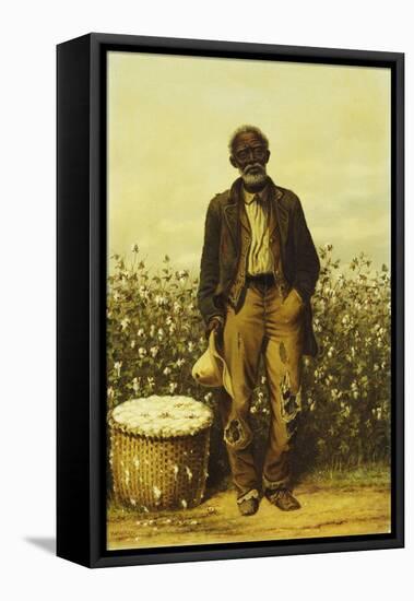 The Old Cotton Picker-William Aiken Walker-Framed Premier Image Canvas