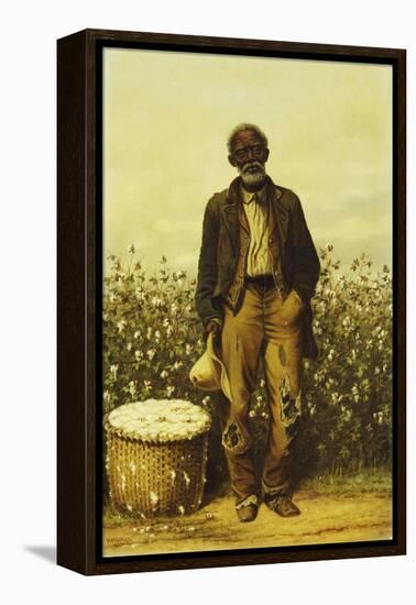 The Old Cotton Picker-William Aiken Walker-Framed Premier Image Canvas