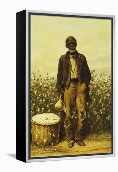 The Old Cotton Picker-William Aiken Walker-Framed Premier Image Canvas