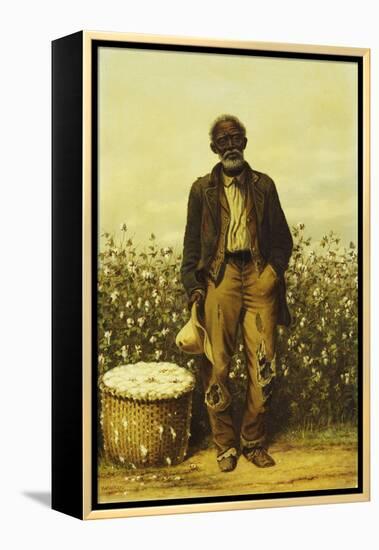 The Old Cotton Picker-William Aiken Walker-Framed Premier Image Canvas