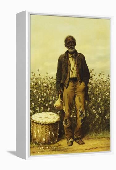 The Old Cotton Picker-William Aiken Walker-Framed Premier Image Canvas