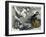 The Old Curiosity Shop by Charles Dickens-Frederick Barnard-Framed Giclee Print