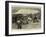 The Old English Mastiff Club Show at the Crystal Palace-null-Framed Giclee Print