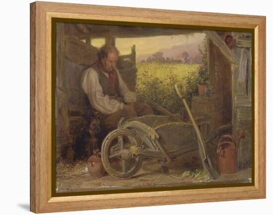 The Old Gardener, 1863-Briton Riviere-Framed Premier Image Canvas