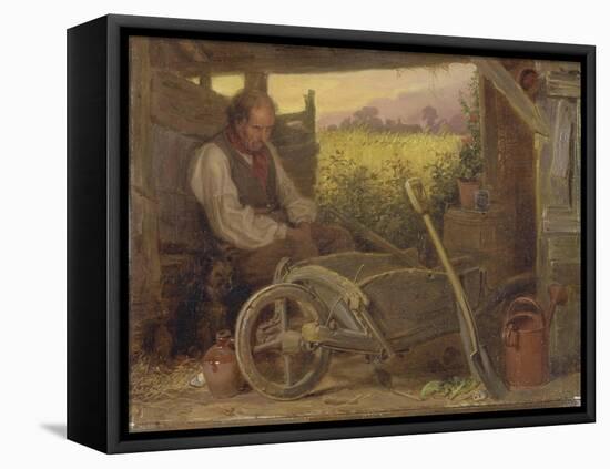 The Old Gardener, 1863-Briton Riviere-Framed Premier Image Canvas