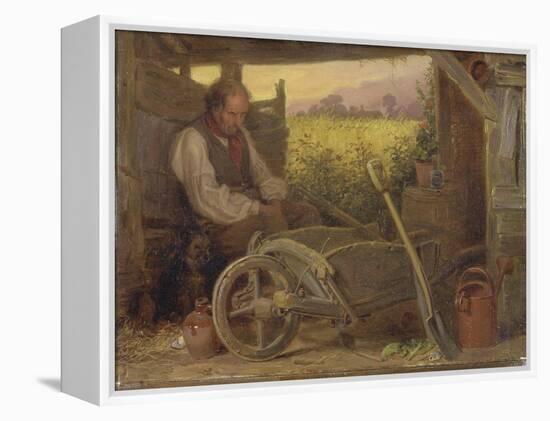 The Old Gardener, 1863-Briton Riviere-Framed Premier Image Canvas