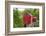 The Old Gristmill-Chuck Burdick-Framed Photographic Print
